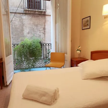 Calma House Guest house *