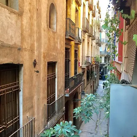 La Calma Guest house *